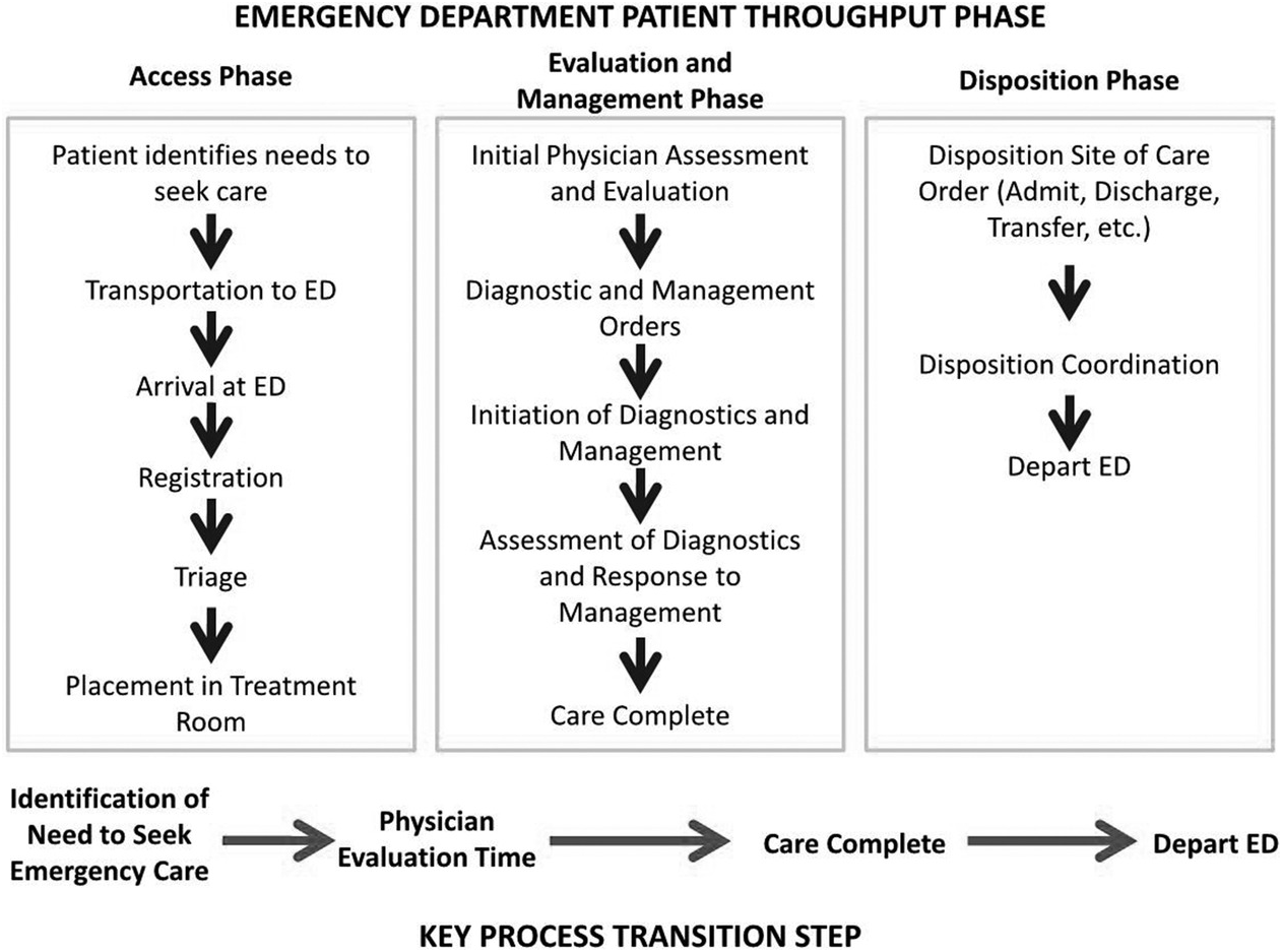 Operational principles (Section 3) - Emergency Department