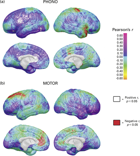 Morphological development of the brain: what has imaging told us 