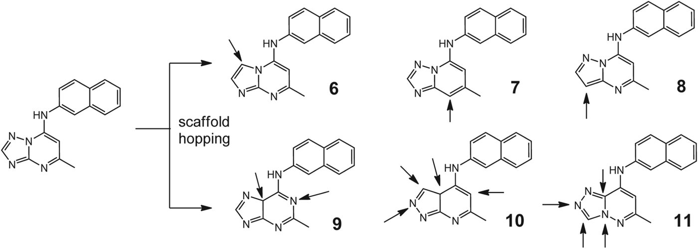 Figure 5