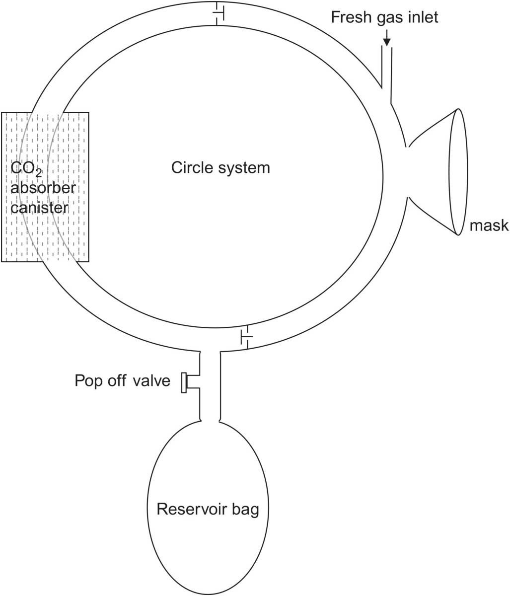 Anesthesia equipment (Section 3) - Essential Clinical Anesthesia Review