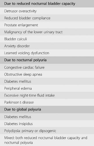 Detrusor and Sphincters - Creative Med Doses