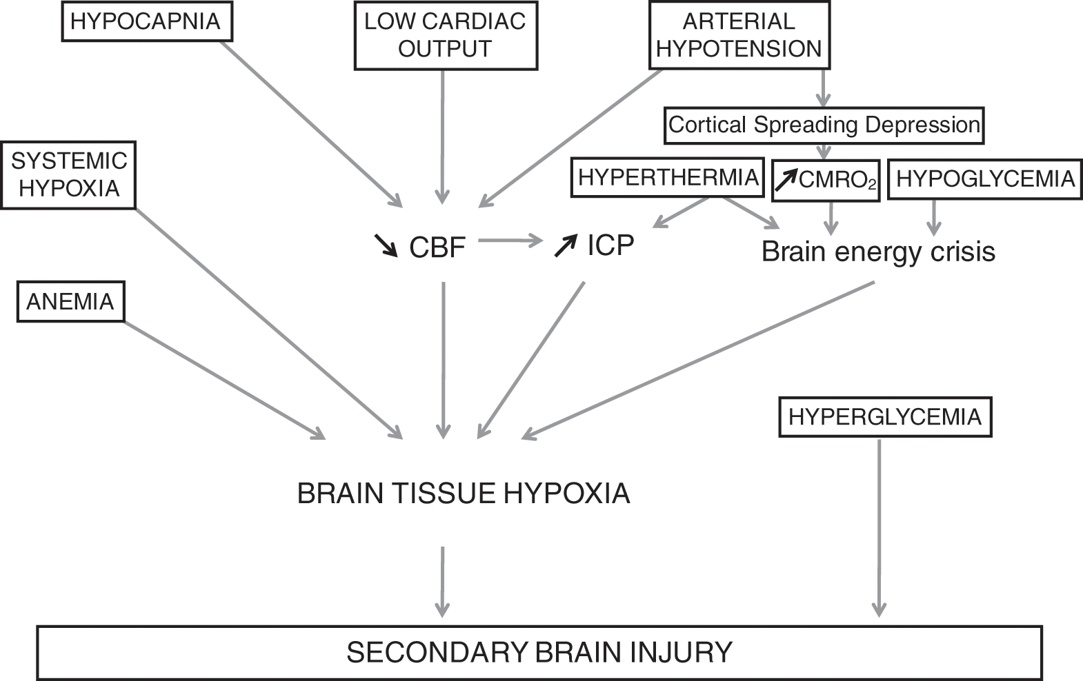 Neurobiological effects of systemic physiological and metabolic