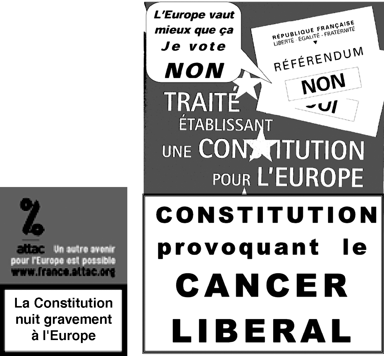 France The Momentum Referendum Chapter 4 Framing The