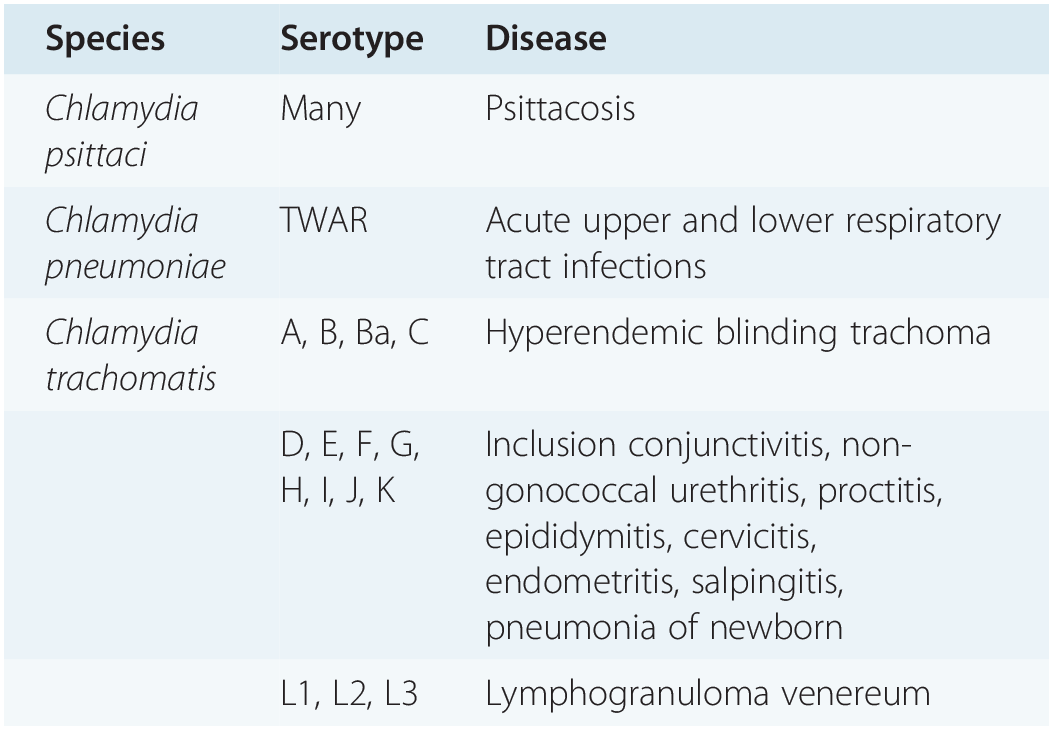 Gynecological Infectious Disease Section 3 Clinical Gynecology