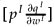 $[ {p^I \frac{{\partial q^I}}{{\partial w^I}}} $