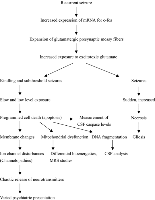 Organic Syndromes Of Schizophrenia Section 3 Secondary Schizophrenia