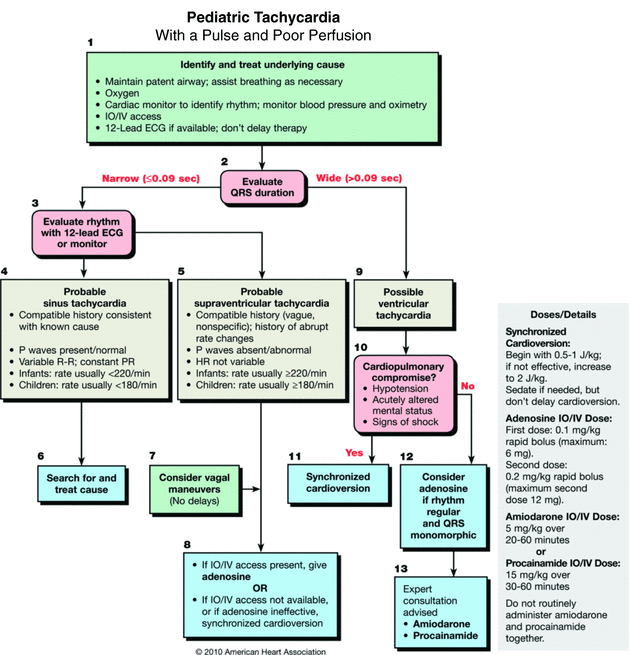 Cardiopulmonary And Cerebral Resuscitation Chapter 3 An Introduction To Clinical Emergency Medicine Cardiopulmonary And Cerebral Resuscitation Chapter 3 An Introduction To Clinical Emergency Medicine