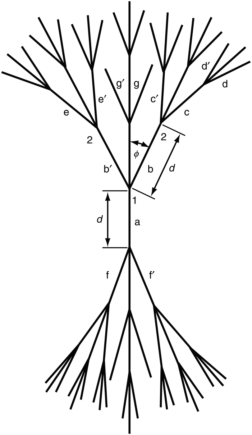 Structure Of Solid Polymers Chapter 2 The Physics Of Deformation And Fracture Of Polymers