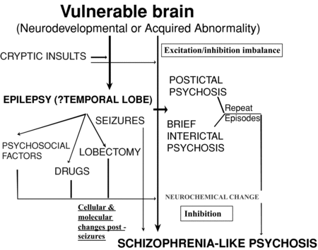 Organic Syndromes Of Schizophrenia Section 3 Secondary Schizophrenia