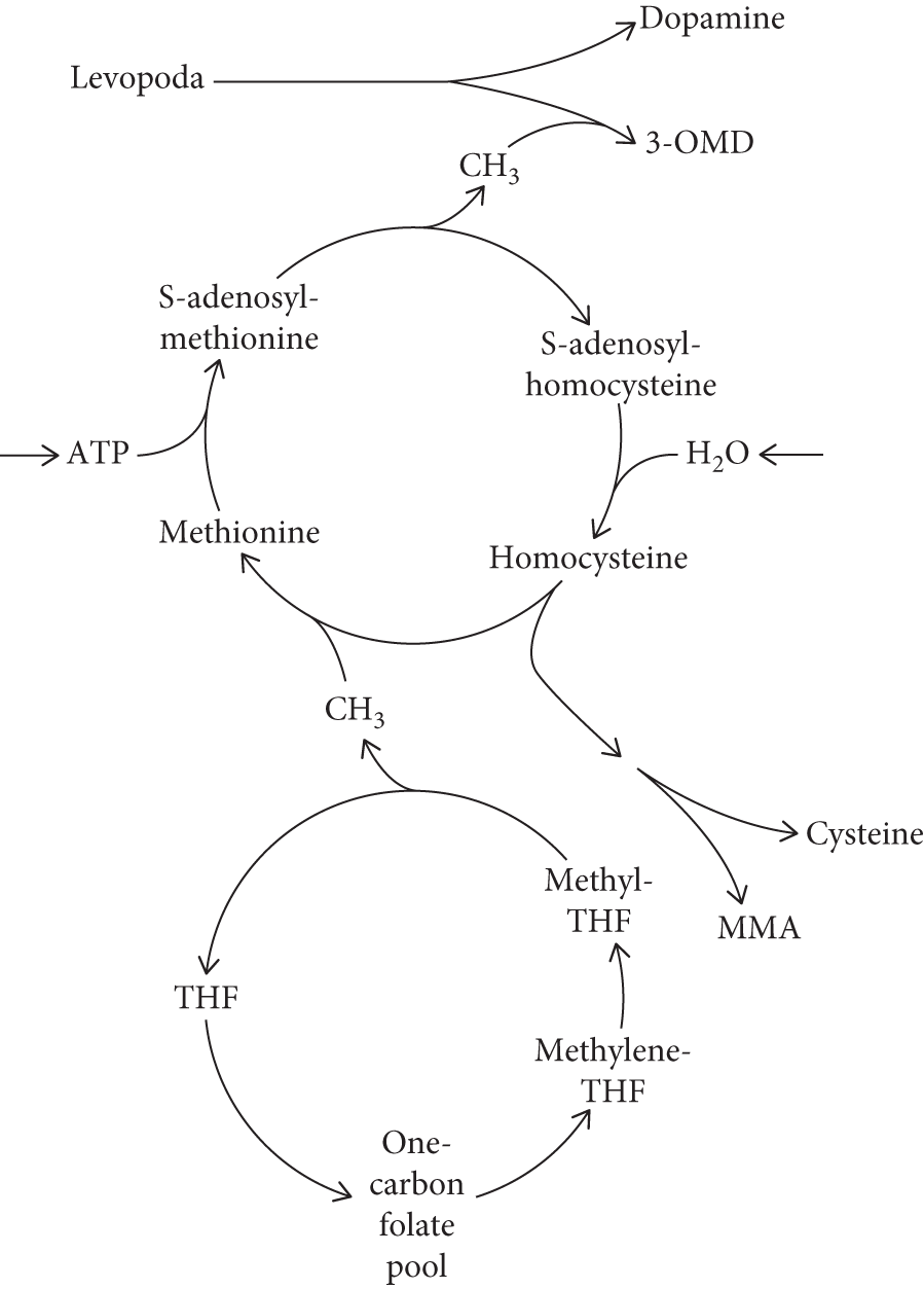 Bisacodyl  MENAP-SMI