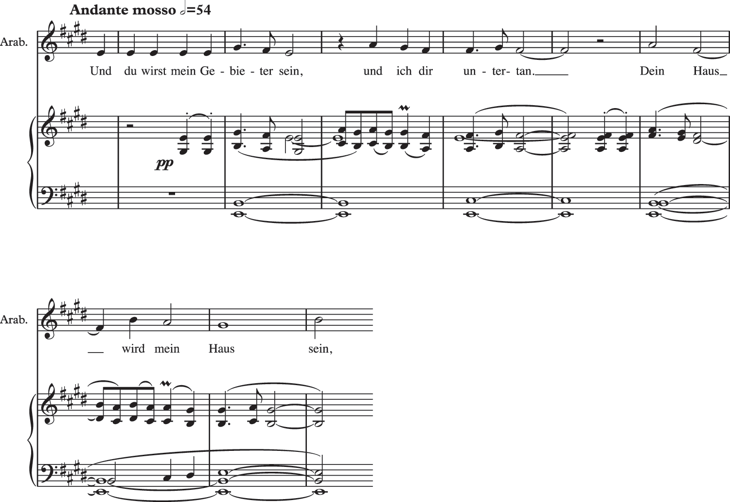 Composing Without Hofmannsthal Arabellaanddie Schweigsame Frau