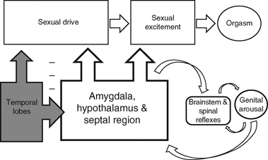 Neurological control of pelvic organ functions (Section 1 ...