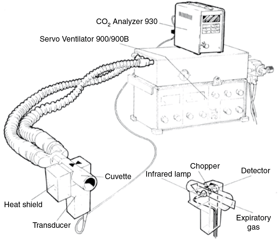 Brief History Of Time And Volumetric Capnography (Chapter 40.