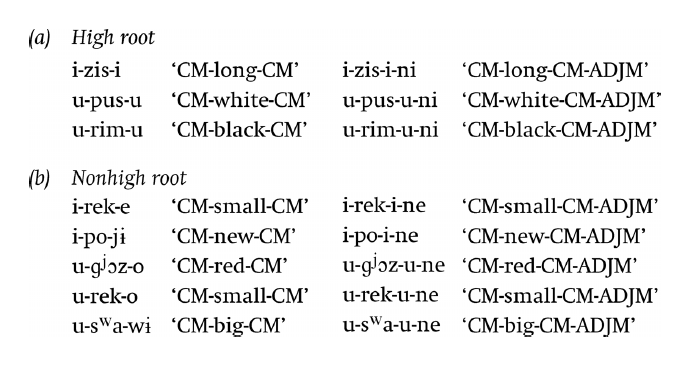 Segmental Phenomena Part Iii The Cambridge Handbook Of Phonology