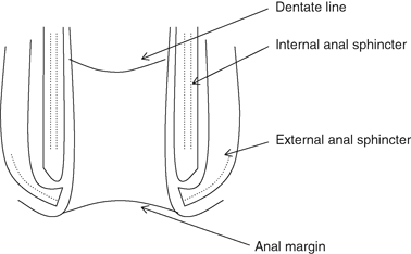 Neurological control of pelvic organ functions (Section 1 ...