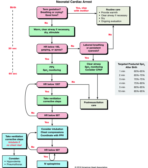 Cardiopulmonary And Cerebral Resuscitation Chapter 3 An Introduction To Clinical Emergency Medicine