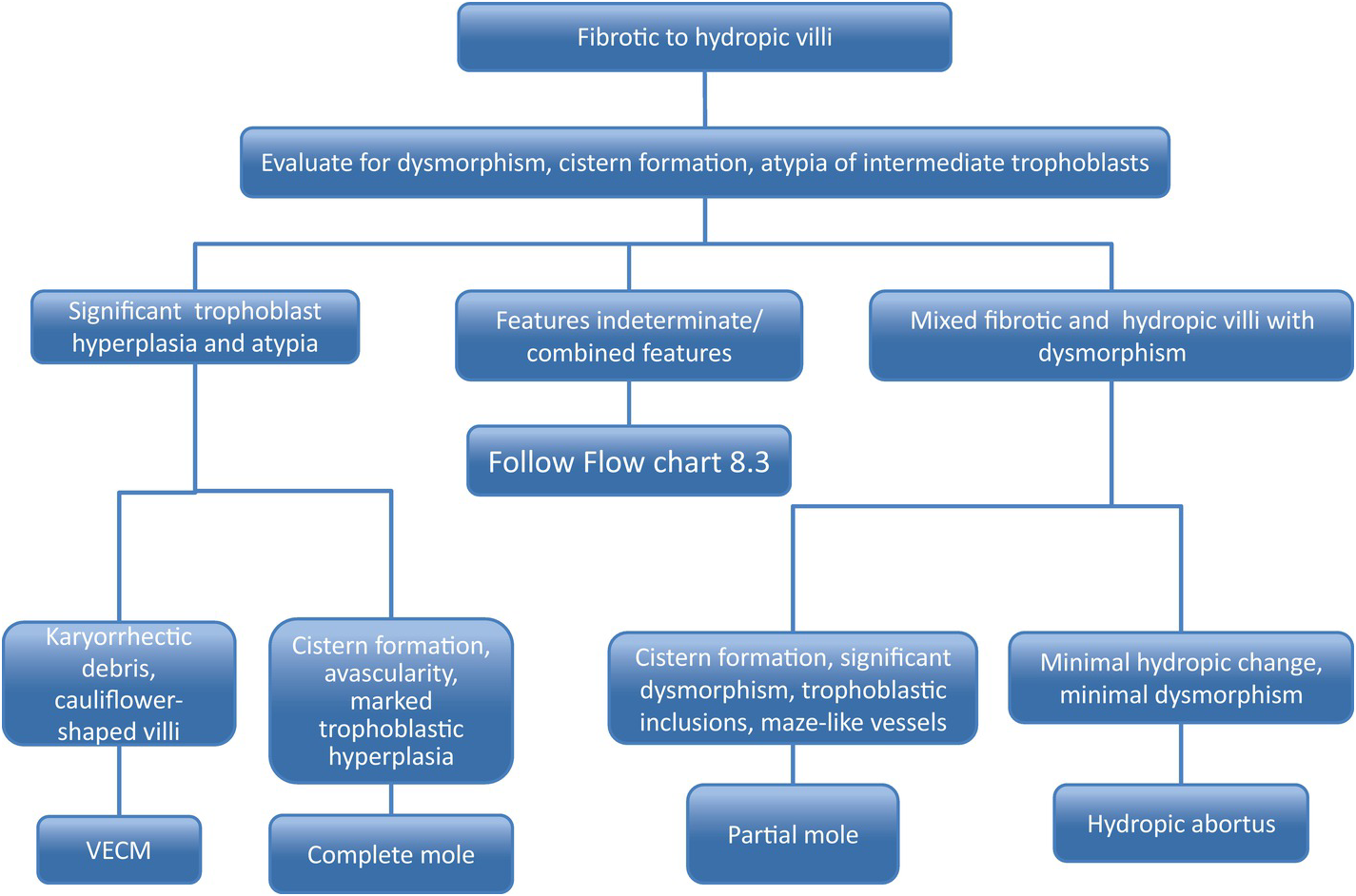 Trophoblastic And Gestational Lesions Chapter 8 Diagnosis Of Neoplasia In Endometrial Biopsies