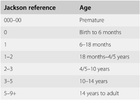 adult shiley trach size chart