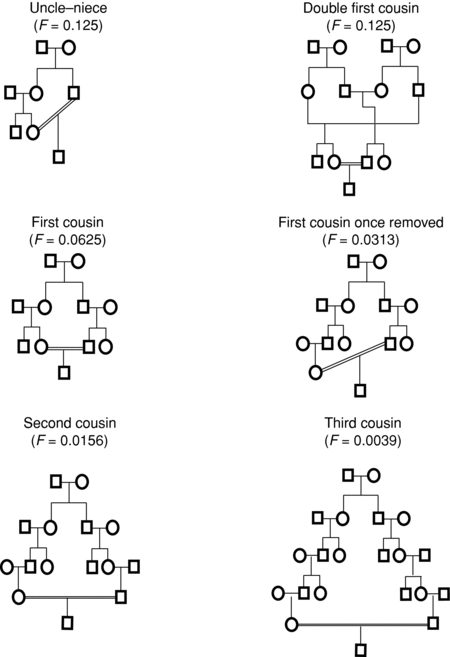 What Is A Double First Cousin Double First Cousin 2020 09 23
