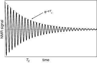 Free Induction Decay - an overview