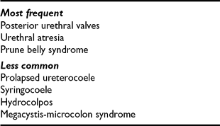 CONGENITAL URINARY BLADDER OUTLET OBSTRUCTION, Fetal and Maternal Medicine  Review