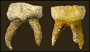 Between Denisovans And Neanderthals Strashnaya Cave In The Altai Mountains Antiquity Cambridge Core