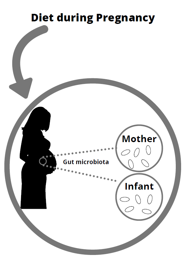 Figure 3 from Maternal and child health in Brazil: progress and