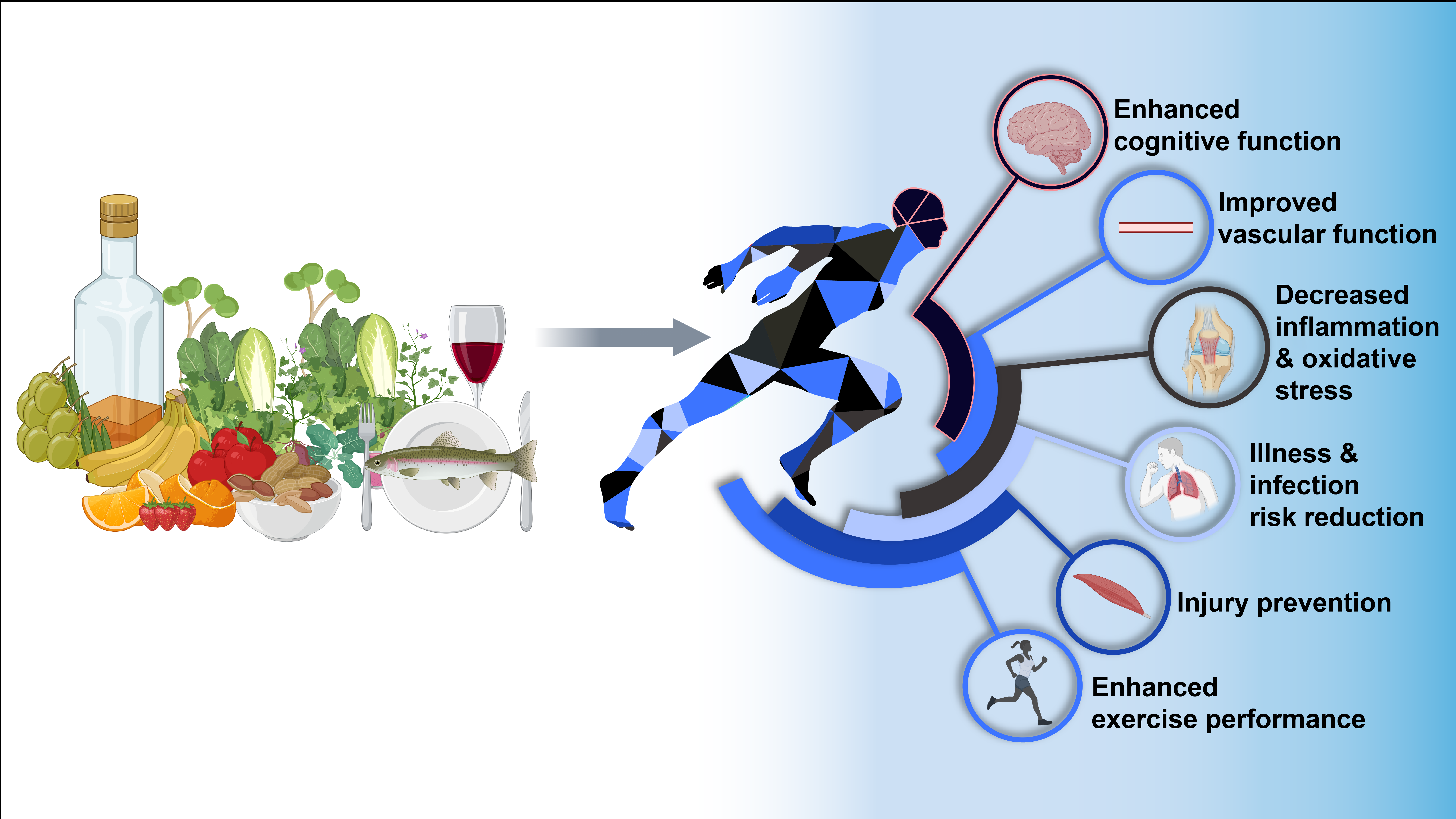 The Mediterranean dietary pattern for optimising health and performance in competitive athletes a narrative review British Journal of Nutrition Cambridge Core image