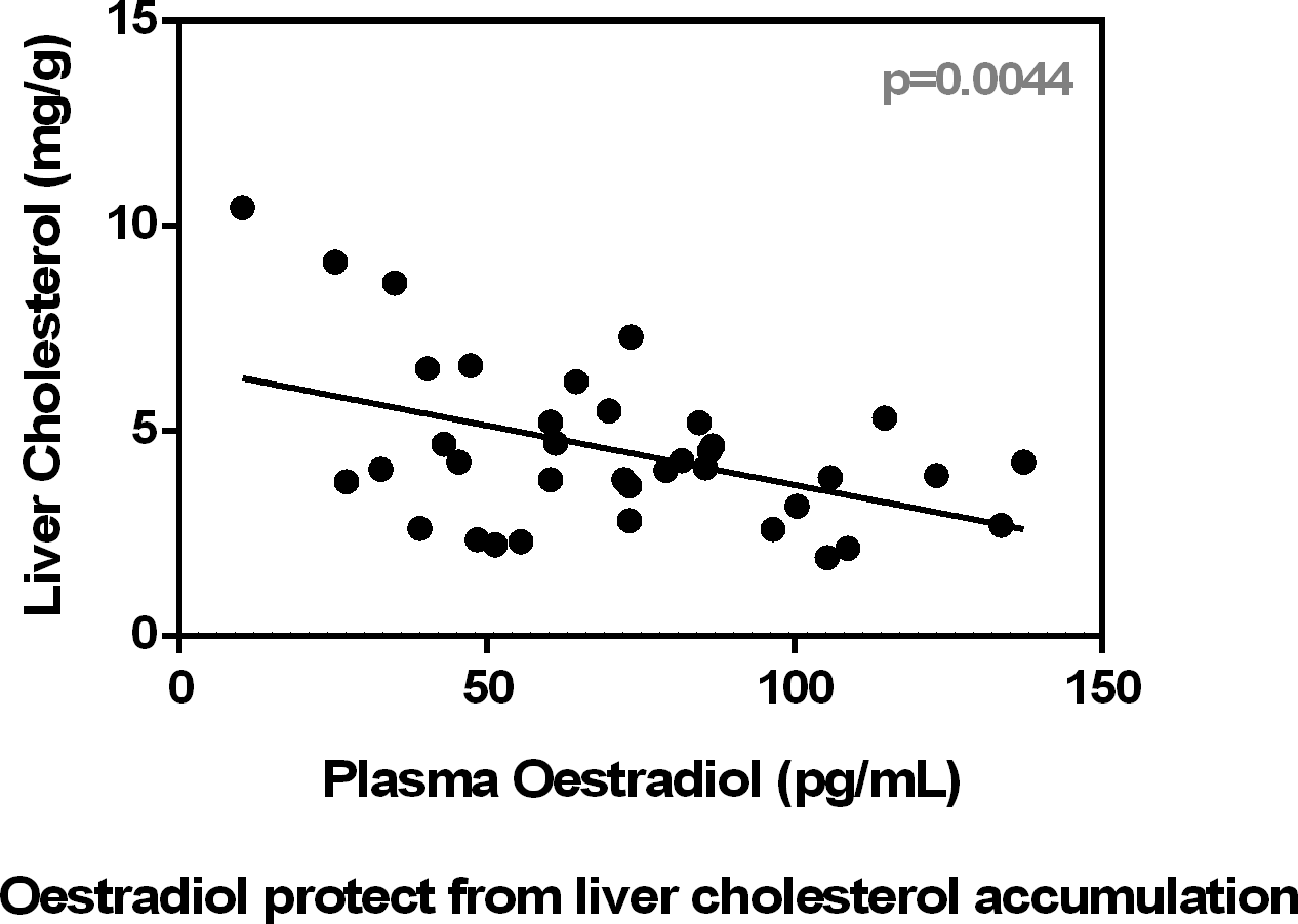 Circulating oestradiol determines liver lipid deposition in rats fed standard diets partially unbalanced with higher lipid or protein proportions British Journal of Nutrition Cambridge Core photo picture