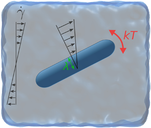 Effect Of Hydrodynamic Slip On The Rotational Dynamics Of A Thin Brownian Platelet In Shear Flow Journal Of Fluid Mechanics Cambridge Core