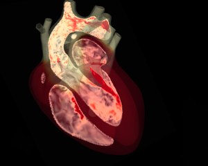 Electro-fluid-mechanics of the heart