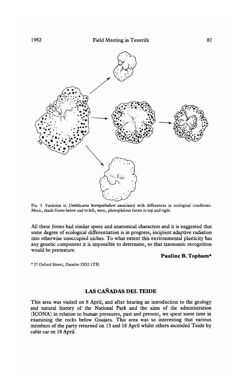 Image of the first page of this content. For PDF version, please use the ‘Save PDF’ preceeding this image.'