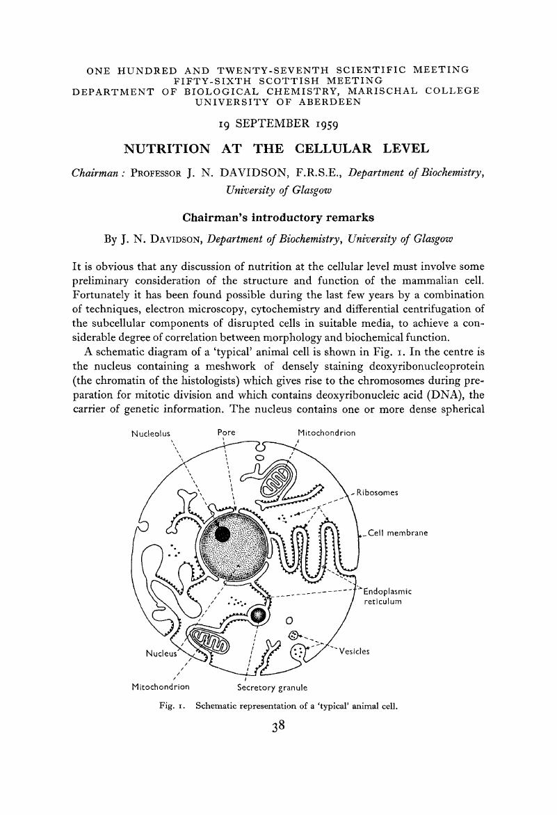 Image of the first page of this content. For PDF version, please use the ‘Save PDF’ preceeding this image.'