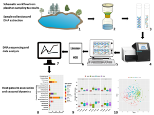 Temporal Dynamics Of Freshwater Planktonic Parasites Inferred Using A Dna Metabarcoding Time Series Parasitology Cambridge Core