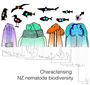 Large-scale genetic investigation of nematode diversity and their  phylogenetic patterns in New Zealand's marine animals, Parasitology
