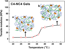 Gelation Mechanism of Poly(N-isopropylacrylamide)−Clay Nanocomposite Gels