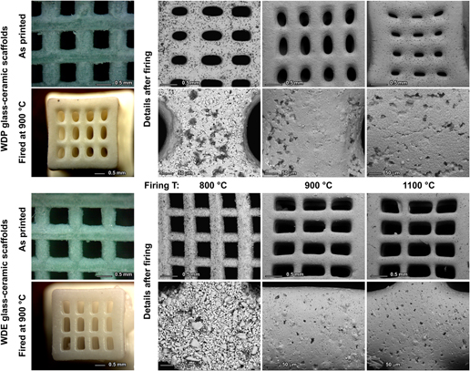 Abnorm Optage Mange Bioactive glass-ceramic scaffolds by additive manufacturing and  sinter-crystallization of fine glass powders | Journal of Materials  Research | Cambridge Core