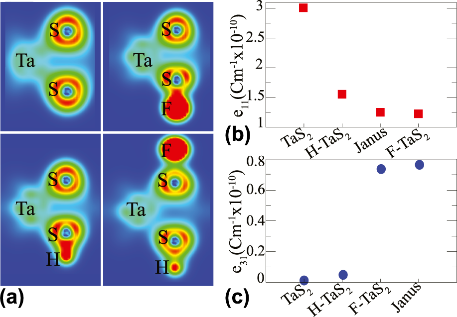 Functionalization Of Single Layer Tas2 And Formation Of Ultrathin