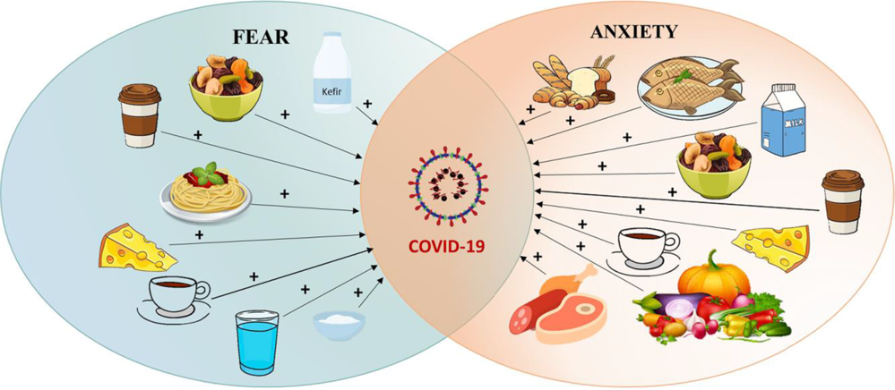 Frontiers  The Relationship Between Women's Negative Body Image and  Disordered Eating Behaviors During the COVID-19 Pandemic: A Cross-Sectional  Study