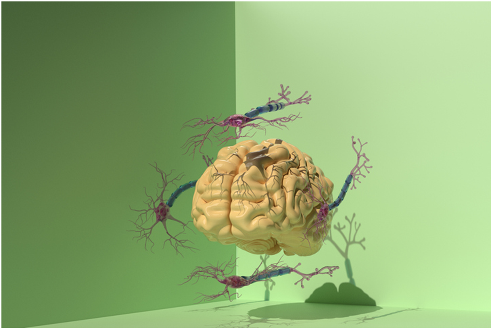 graphical abstract for How can robust testing, validation processes, and ethical considerations ensure the safety, effectiveness, and necessity of biotechnological devices in transforming neurological rehabilitation? - open in full screen