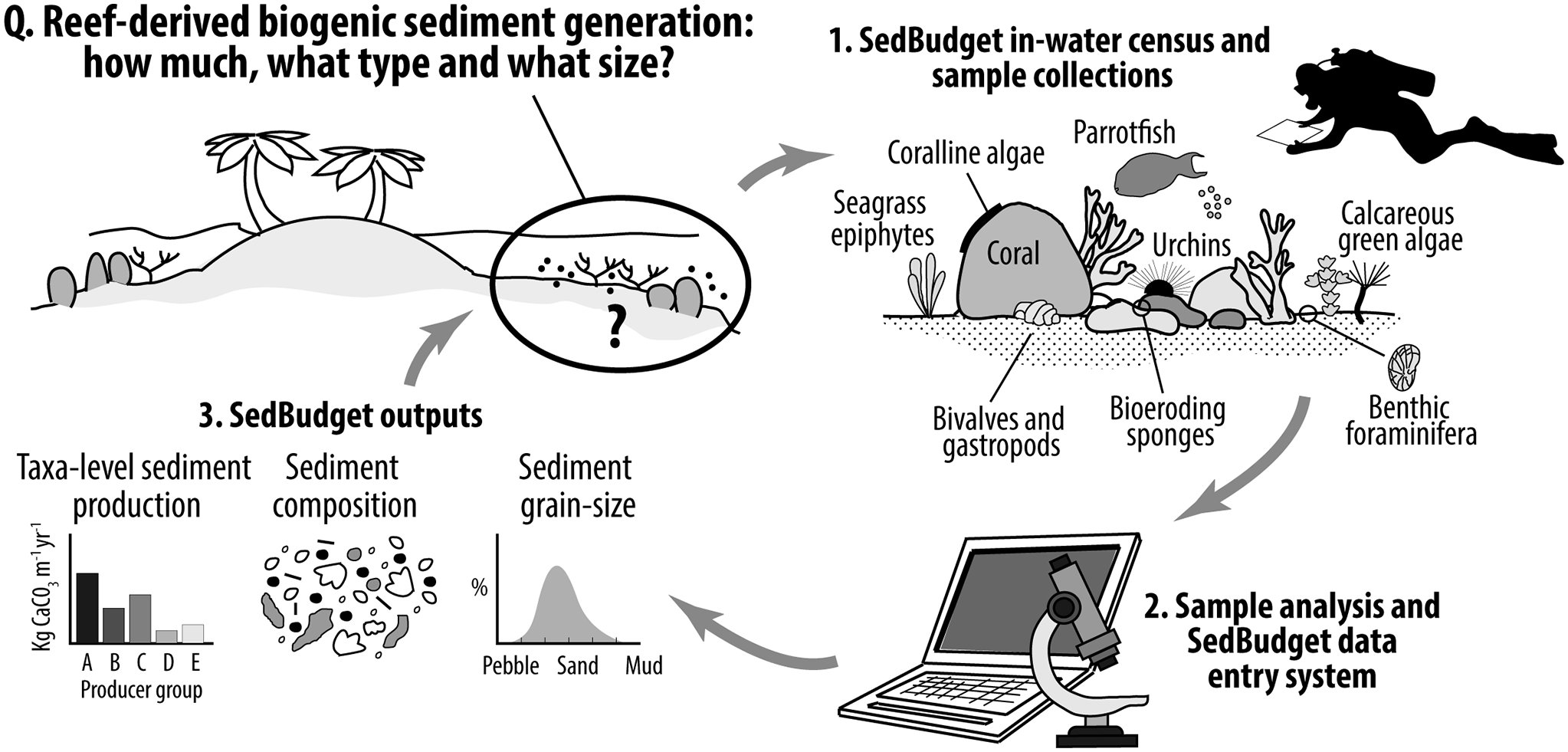 graphical abstract for Quantifying reef-derived sediment generation: Introducing the SedBudget methodology to support tropical coastline and island vulnerability studies - open in full screen