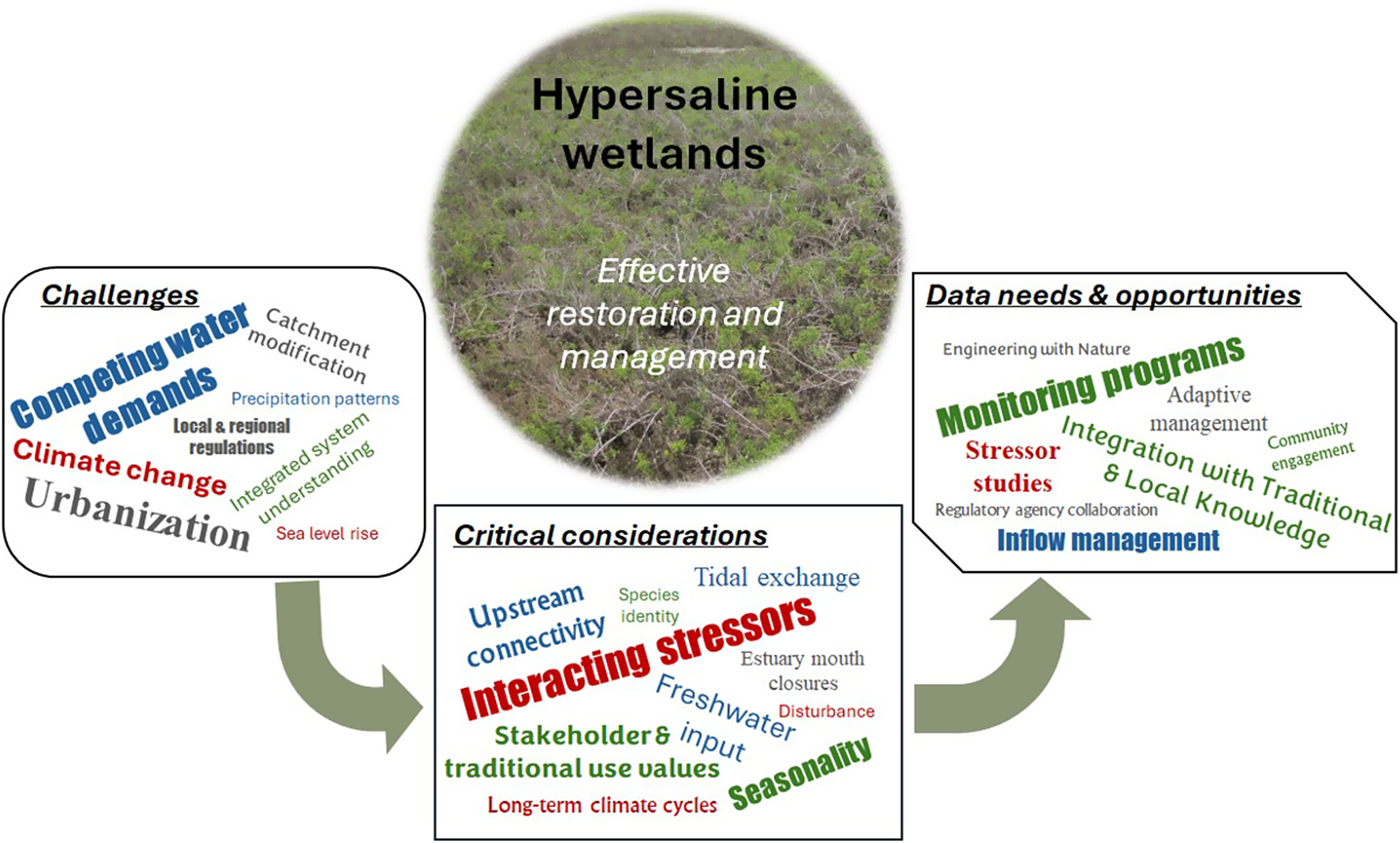 graphical abstract for Global complexities and challenges in the restoration of hypersaline coastal wetlands - open in full screen