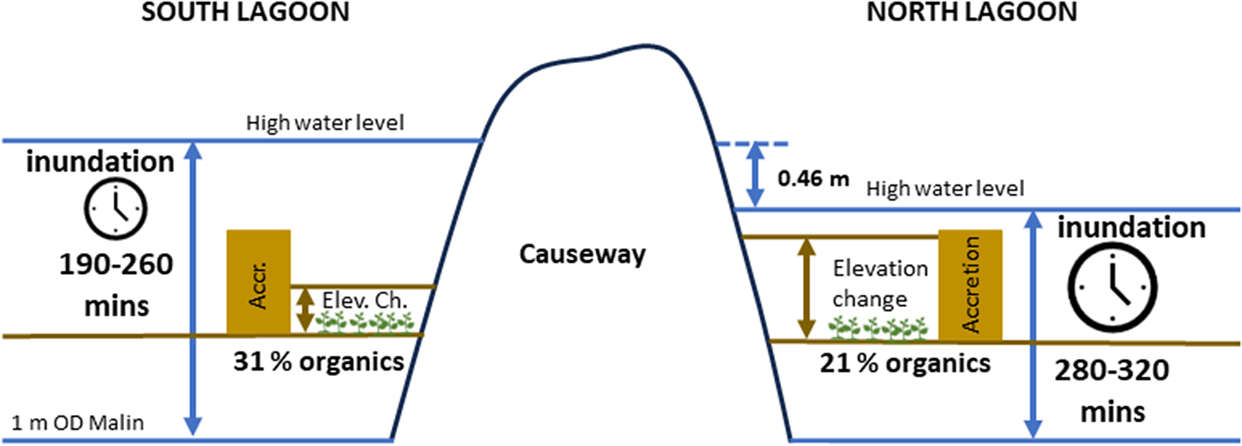 graphical abstract for Balancing conservation and human access to nature: the impact of a constructed causeway on water levels and sedimentation, North Bull Island, Ireland - open in full screen