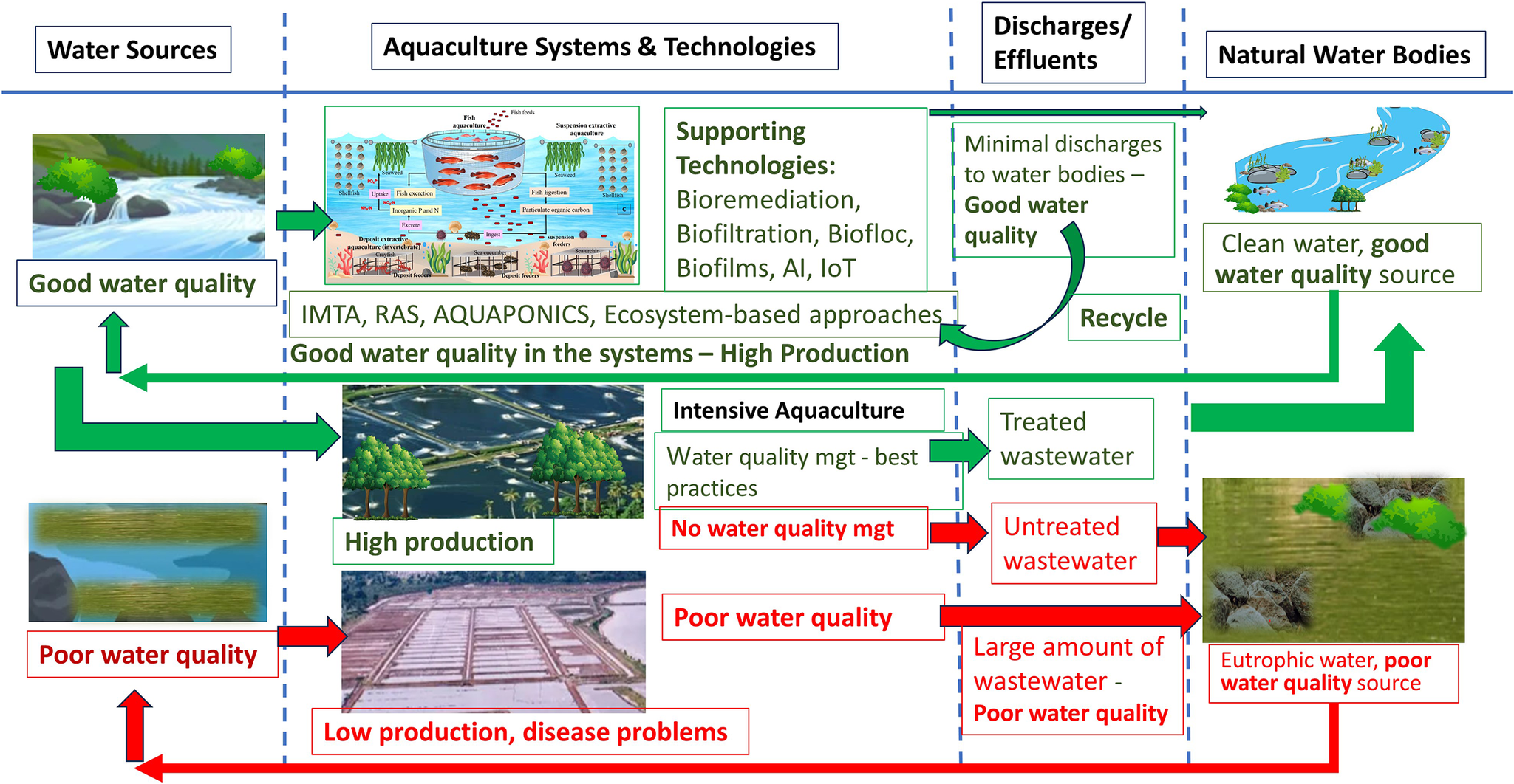 graphical abstract for Water quality management in aquaculture - open in full screen