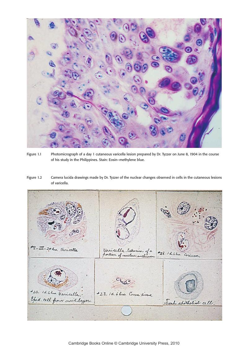 Image of the first page of this content. For PDF version, please use the ‘Save PDF’ preceeding this image.'