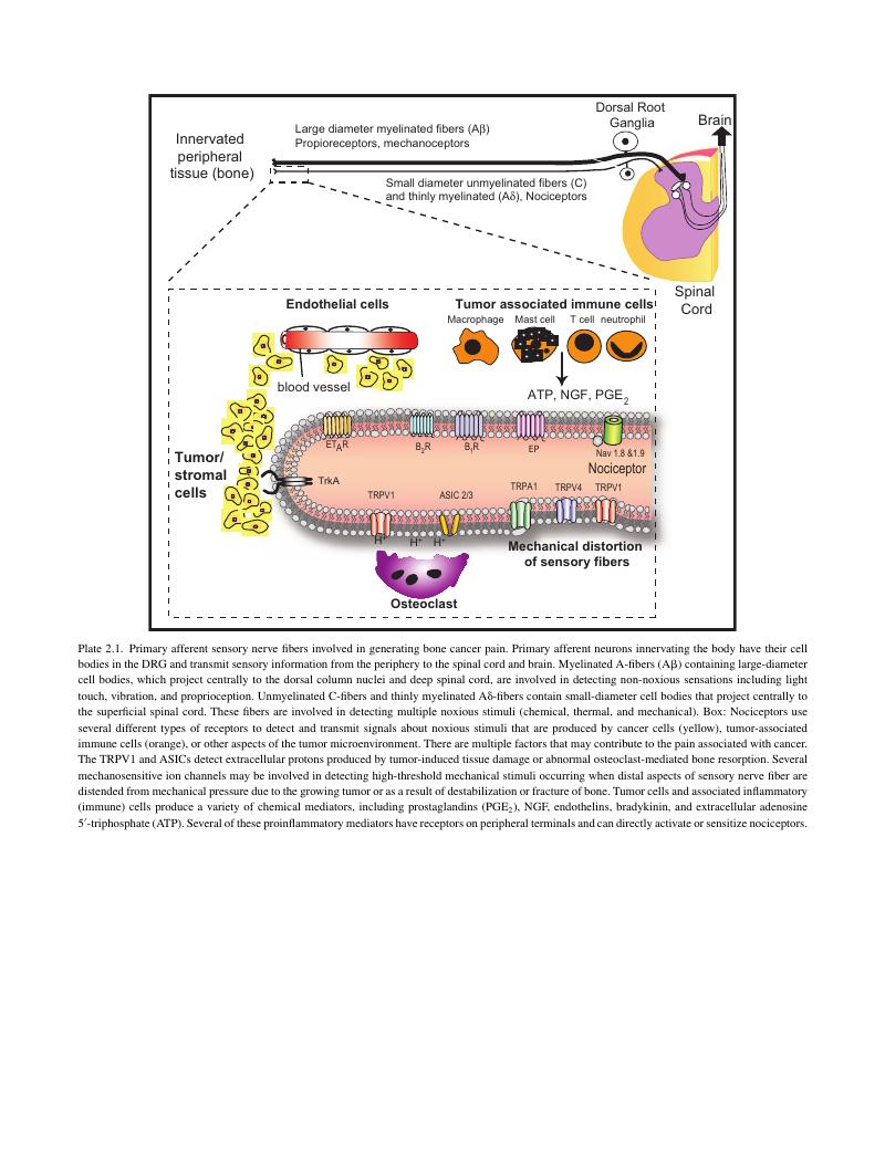 Image of the first page of this content. For PDF version, please use the ‘Save PDF’ preceeding this image.'