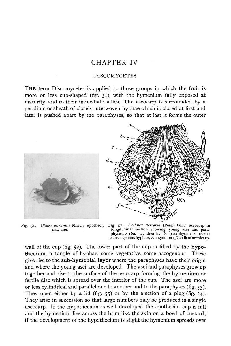 Image of the first page of this content. For PDF version, please use the ‘Save PDF’ preceeding this image.'