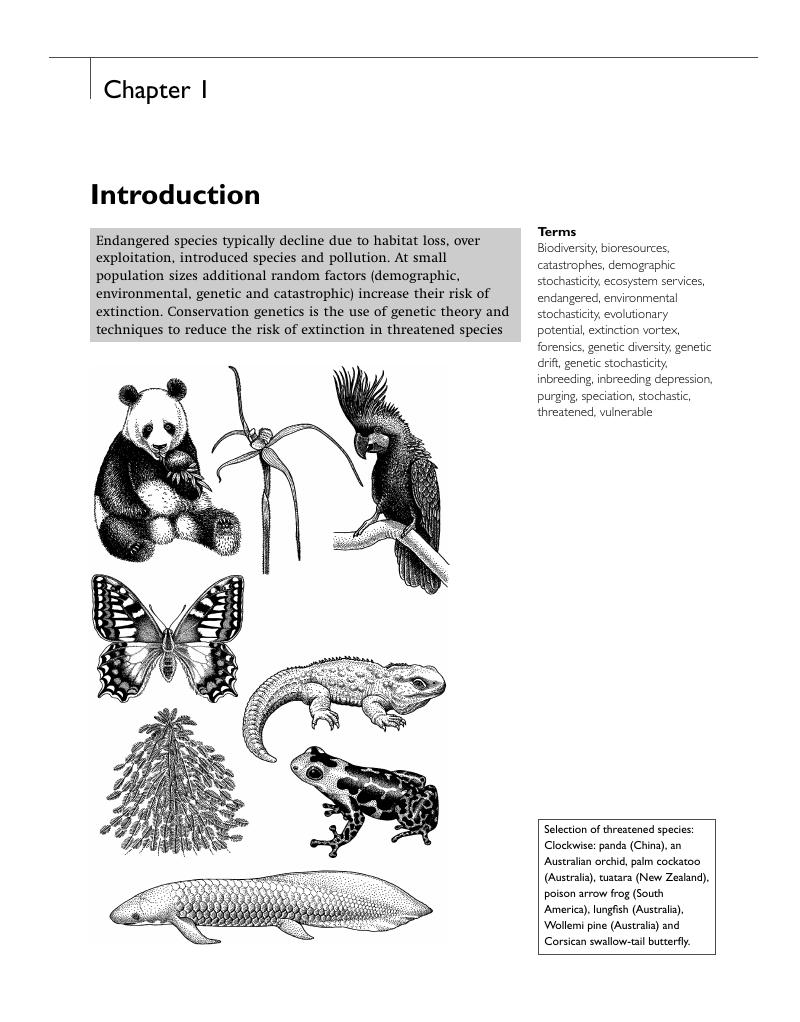 Introduction (Chapter 1) - A Primer of Conservation Genetics