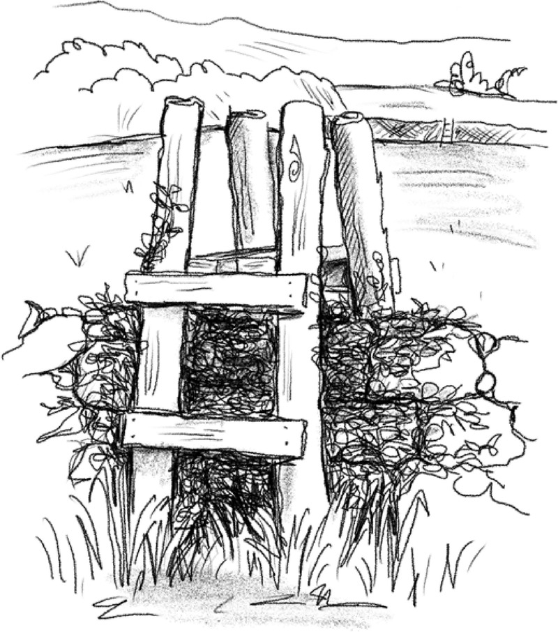 Image of the first page of this content. For PDF version, please use the ‘Save PDF’ preceeding this image.'