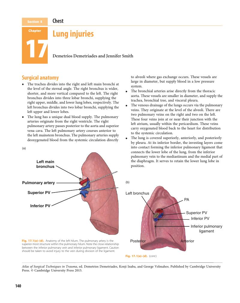 Image of the first page of this content. For PDF version, please use the ‘Save PDF’ preceeding this image.'